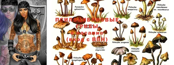 прущий лед Мегион