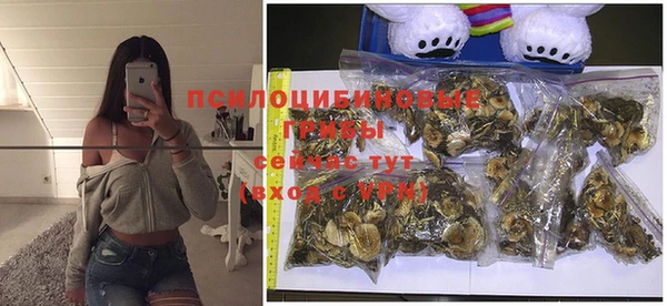 прущая мука Майский
